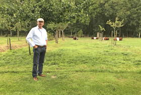 Nico  van der Wielen