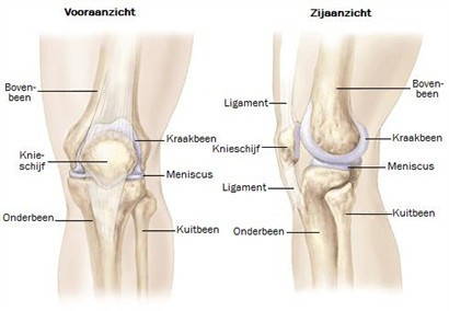Knie