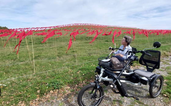 Wilhelmienvan Rijbroek - Hanenberg